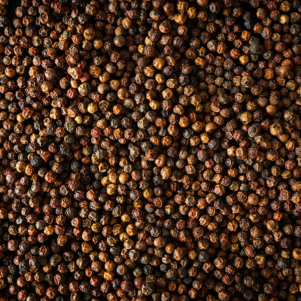 Poivre rouge Kampot 3 x 20g Peugeot - Image 3